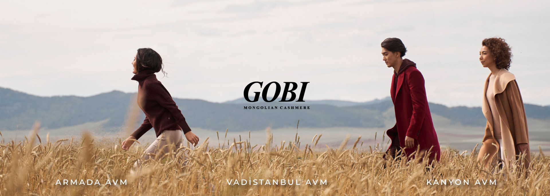 Gobi cashmere Banner